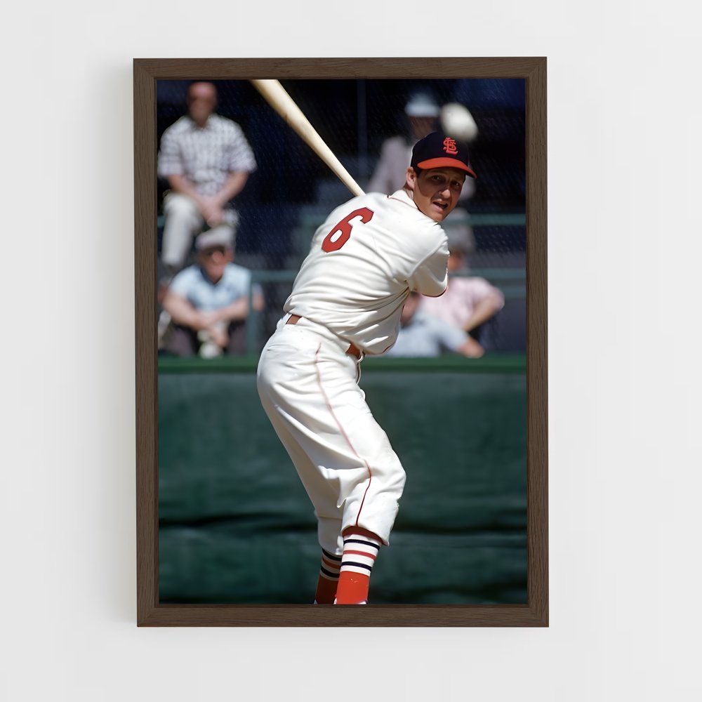 Poster Action à la Maison Blanche – affiche Baseball (vue 5)